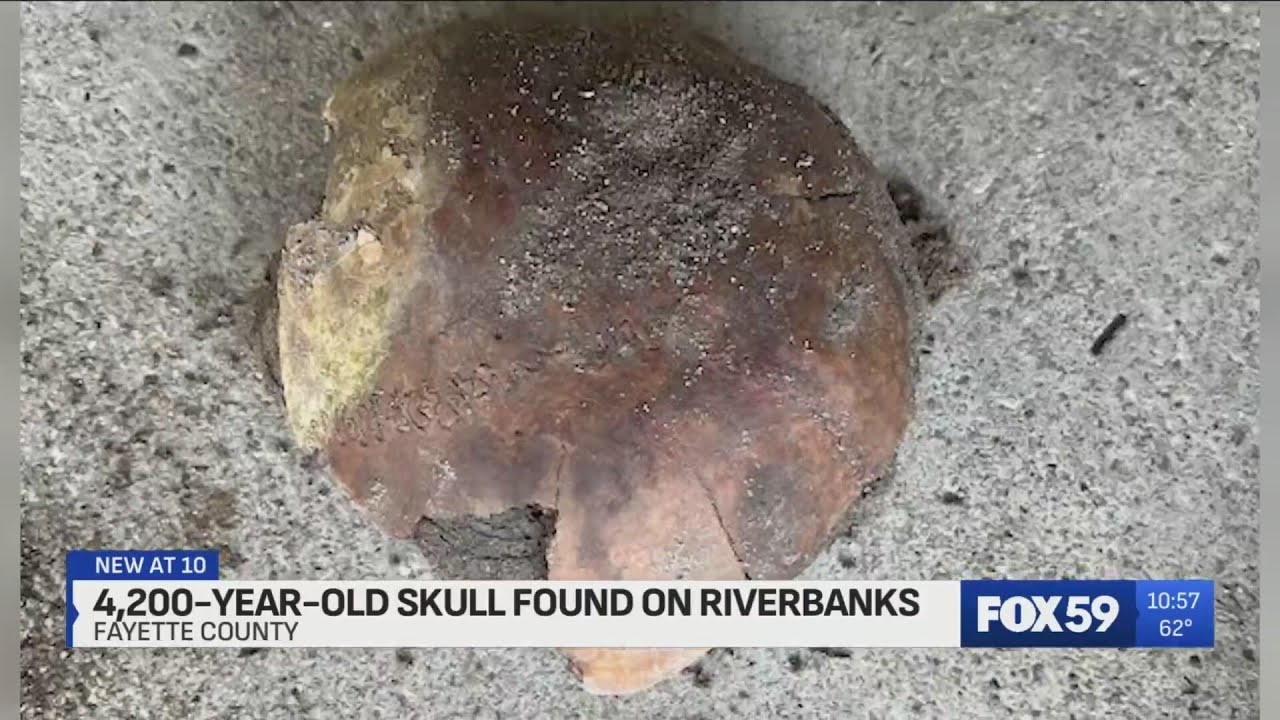 4,200-year-old human skull found along Indiana riverbank