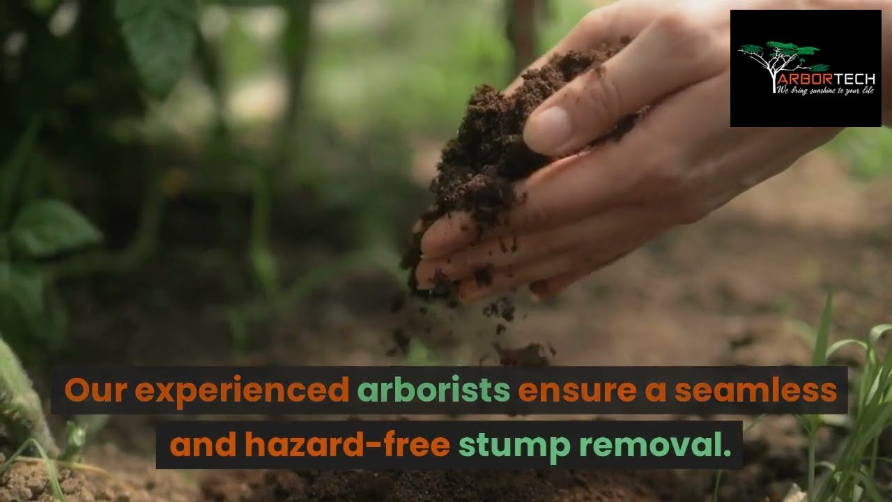 Arbortech Tree Stump Grinding Services