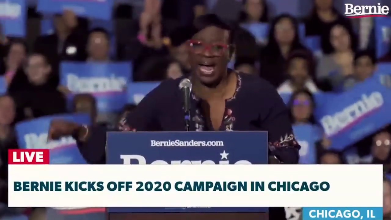 Understand the Moment You're in - Bernie Sanders Tribute