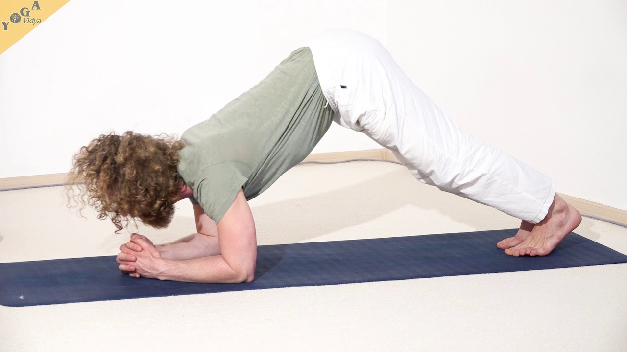 Delfin - Yoga Asanalexikon