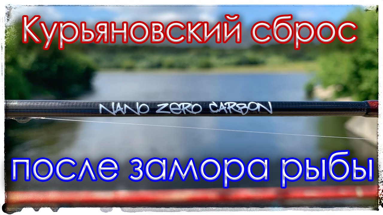 Курьяновский сброс после замора рыбы. Nano Zero Carbon