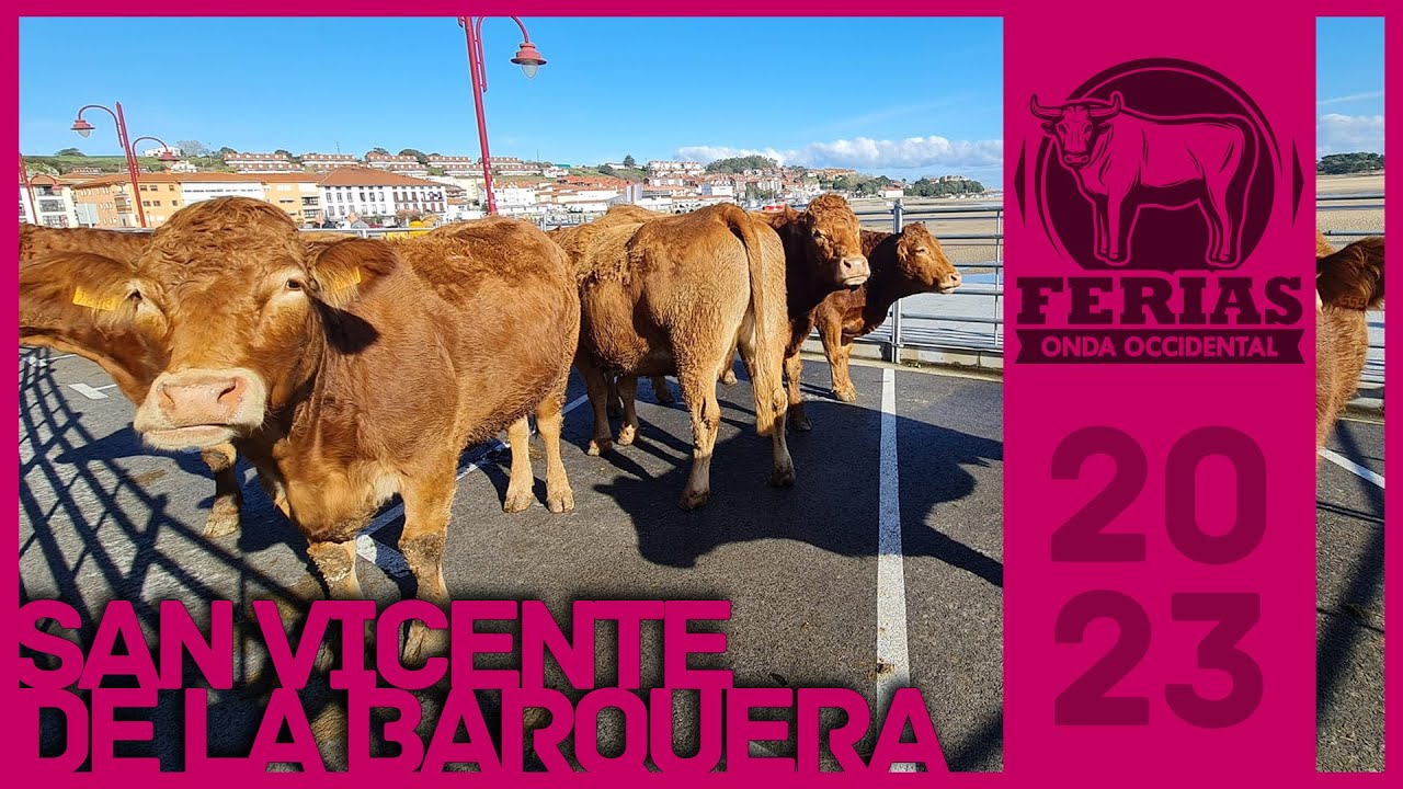 San Martín 2023 | San Vicente de la Barquera | FERIA DE GANADO 🐄🐴🐏🐐 | Las Ferias en Onda Occidental