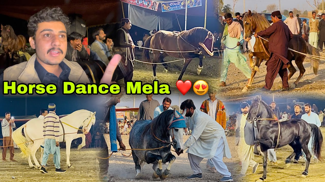 Hmary New Black Horse Ghulam E Saqab Ka Pehla Mela 😍 || Horse Dance Mela