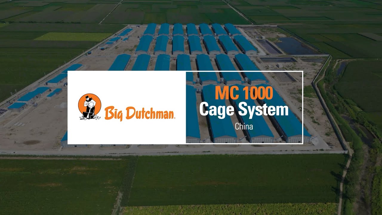 MC1000 Broiler Cage System | Scalable Performance in Compact Spaces by Big Dutchman