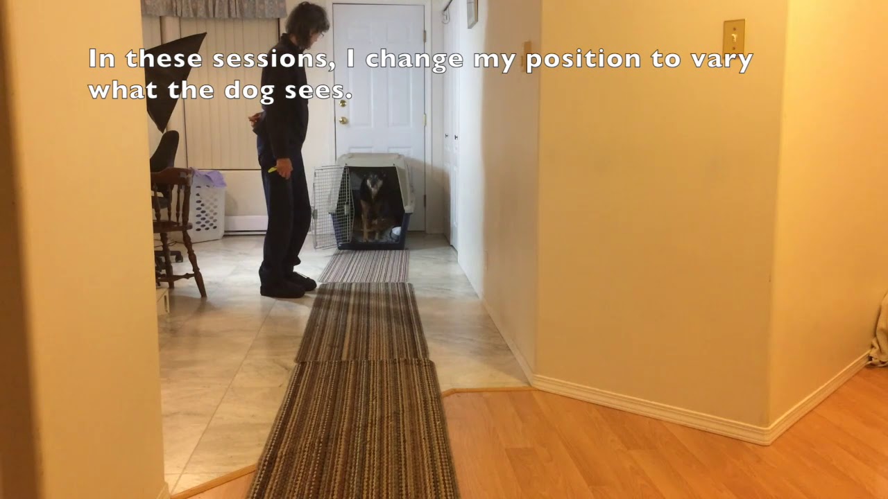 Steps to Crate Training Your Dog - Part  2