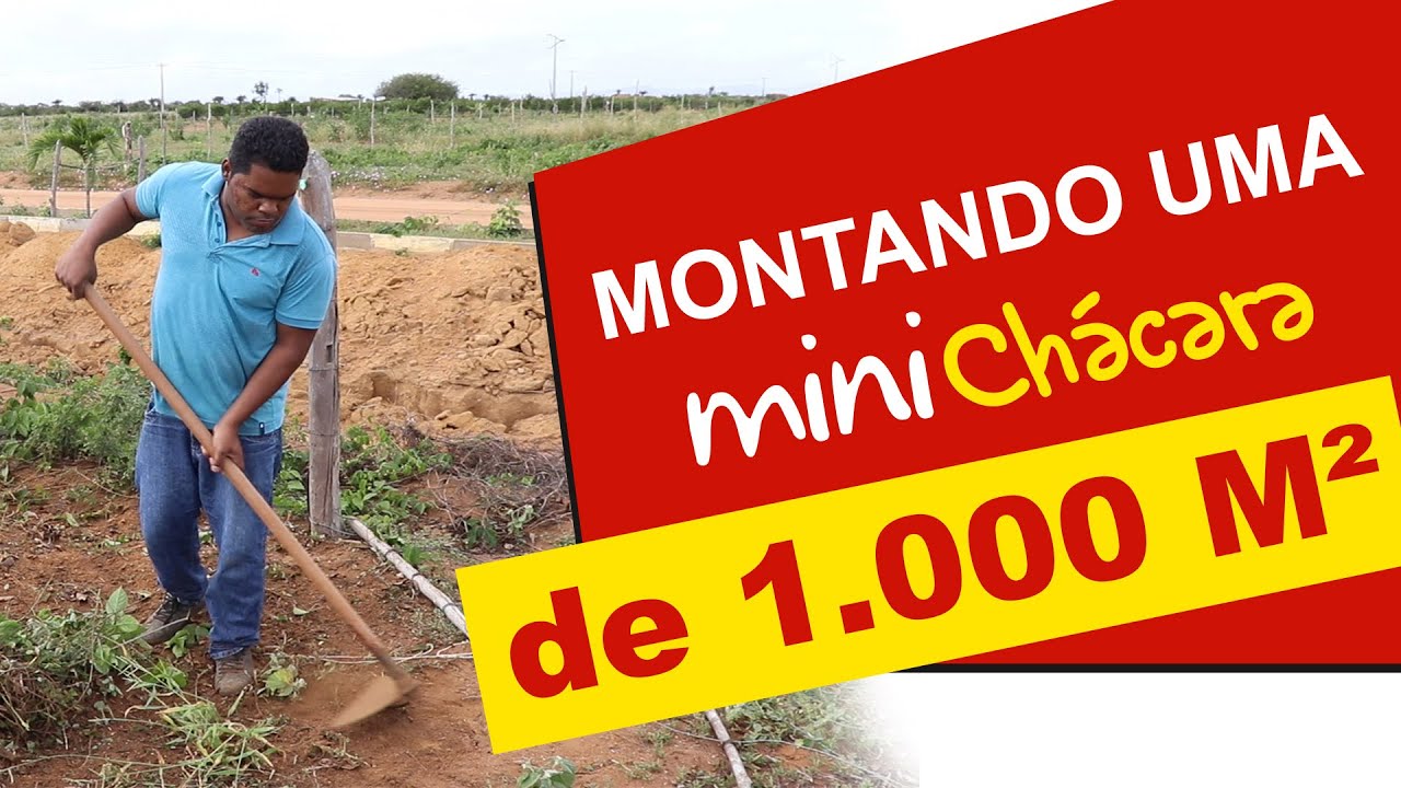 Montando uma Chácara de 1.000 metros