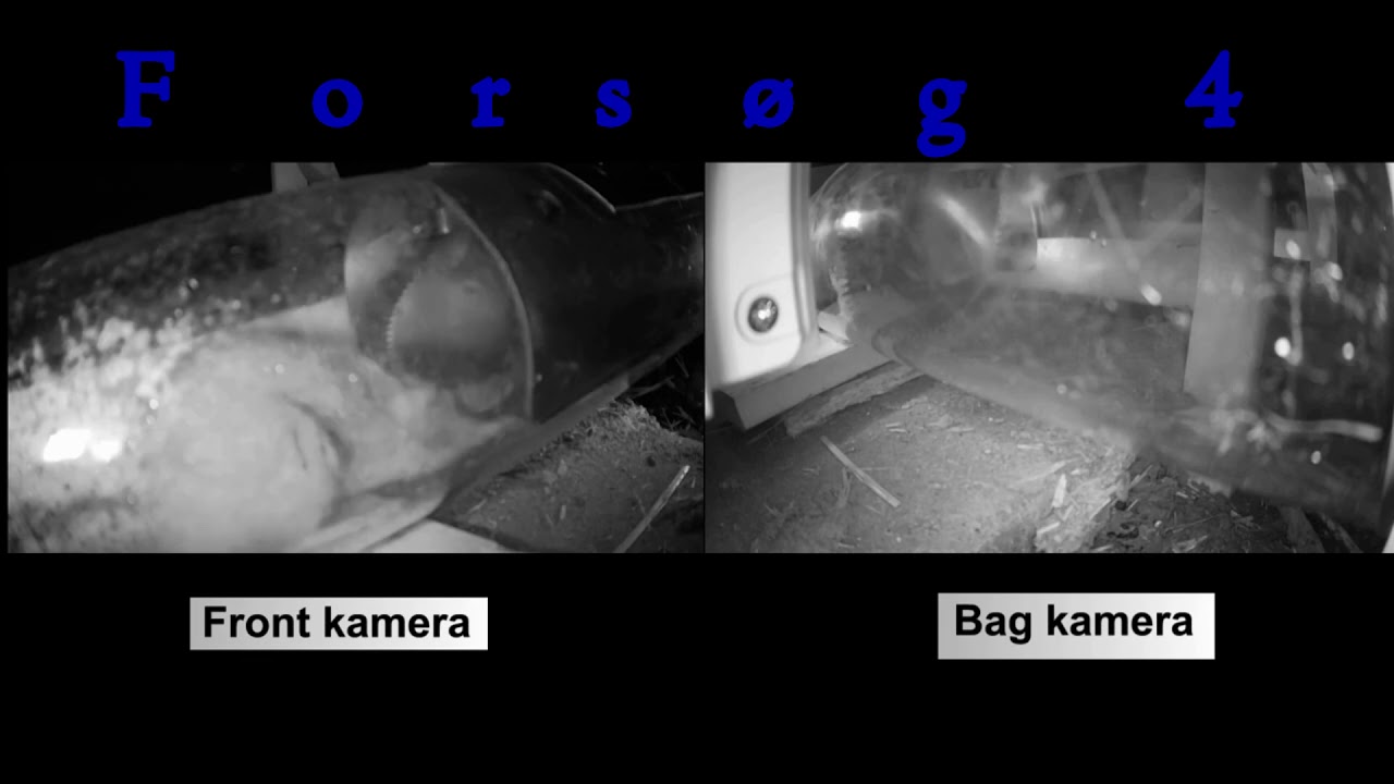 Rat passes our rat blocker before development of our patentet lock