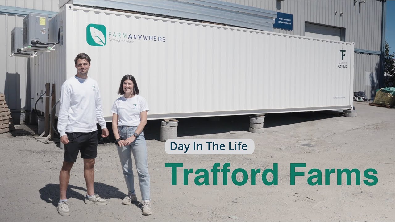 Meet The Siblings Running Calgary's Mushroom Container Farms | Day In The Life