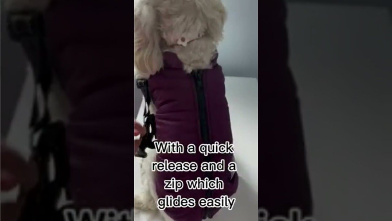 🌱☀️ Product Link in comments 🌱☀️ PupCoat   Waterproof Dog Winter Jackets #shortvideo