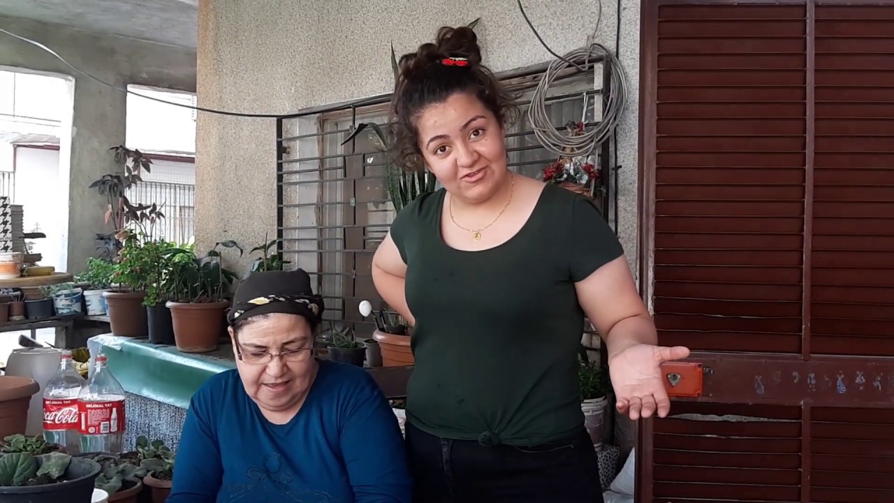 MENEKŞE ÇOĞALTMA NASIL YAPILIR 🌸☘🌸MENEKŞE BAKIMI HAKKINDA BİLGİLER