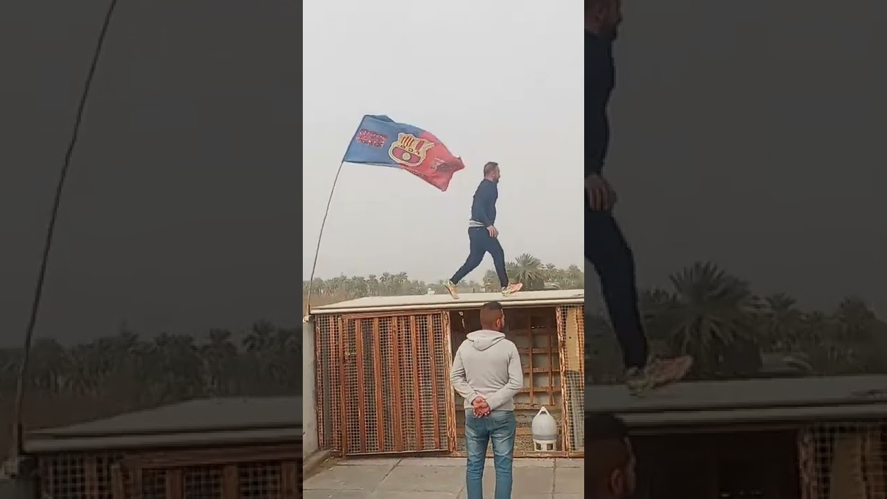 طيور قوية تنهزم بجو كله هواء عالي الونسة الزينة لعيون المتابعين