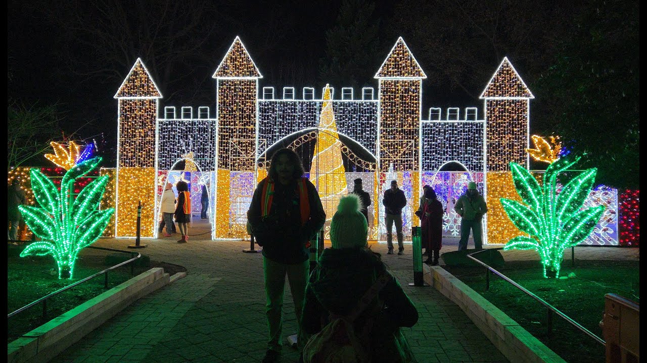 National Zoo - Christmas Lighting 2025