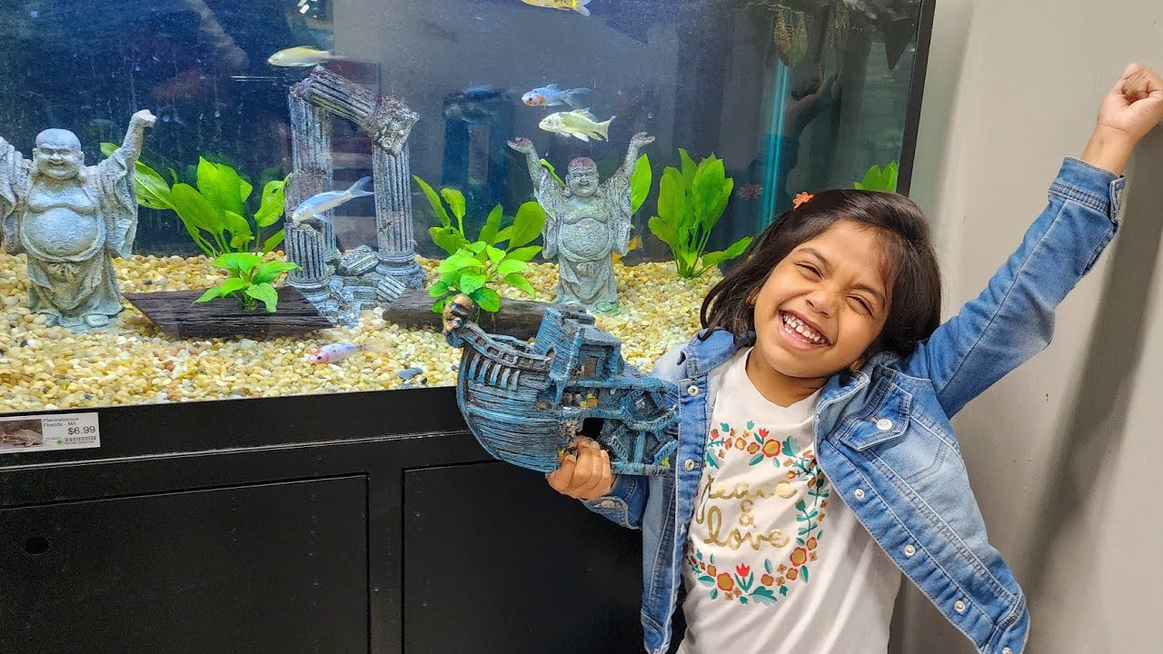 A visit to the Pet Supermarket | shopping for our aquarium | Vlog #4