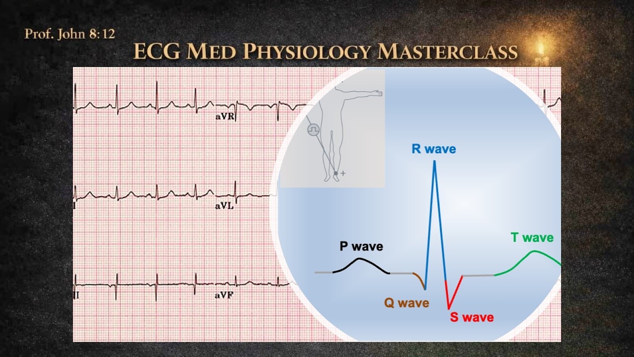 ECG Physiology in 30 Minutes Lecture | Interpretation Made Easy