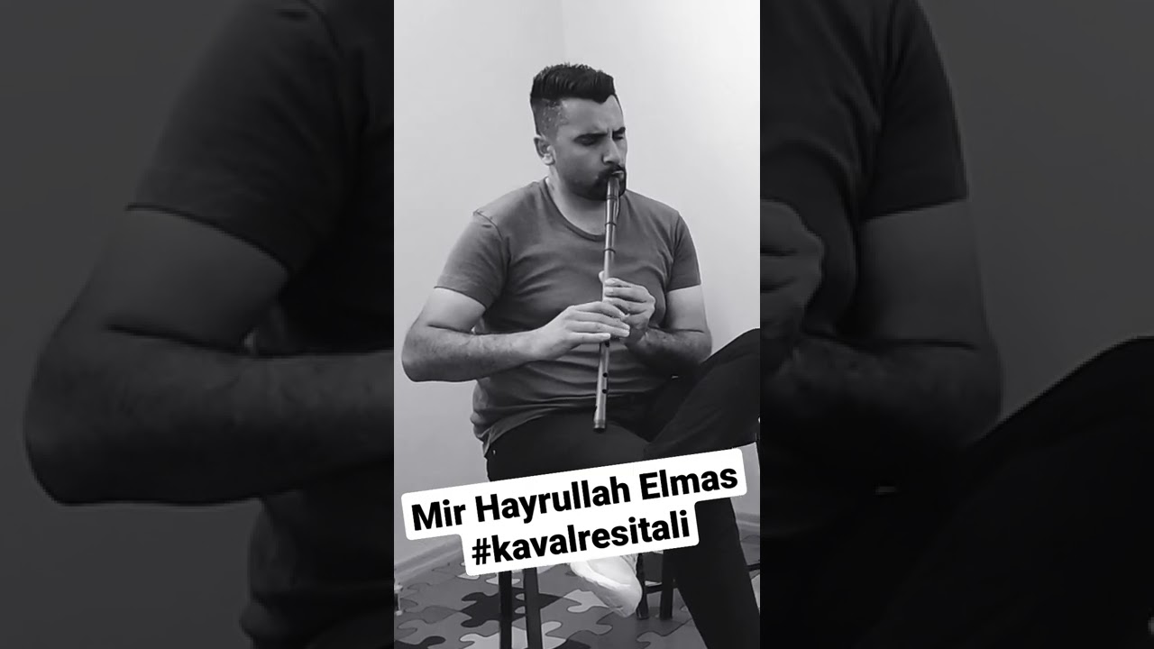 Mir Hayrullah Elmas 