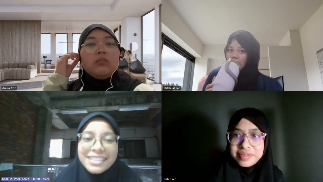 meeting video pro talk 