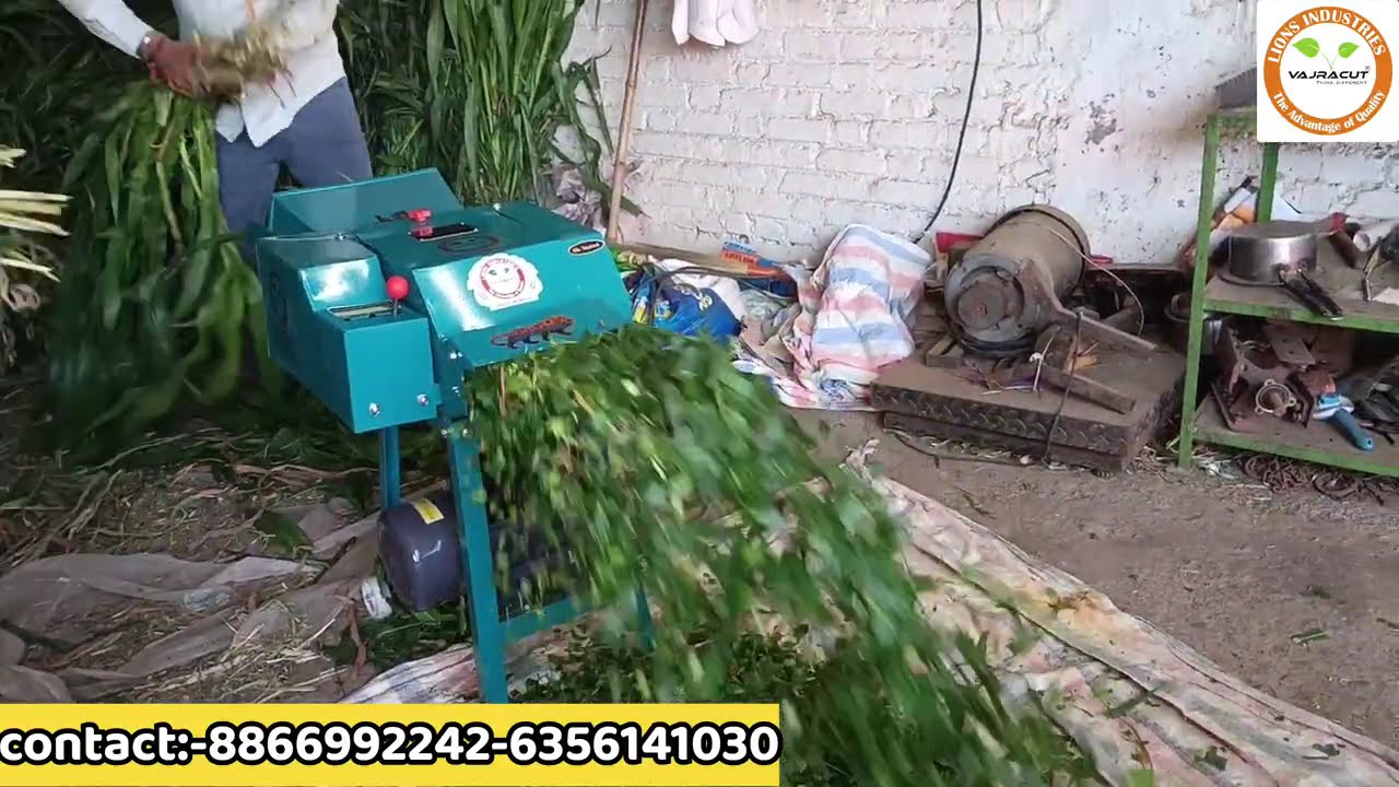 ઘાસ કટર મશીન/જડપી અને સરળ ચાફ કટર મશીન /લાયન્સ ઇન્ડસ્ટ્રીઝ નું બેસ્ટ ચાફ કટર🌱/ gear system machine