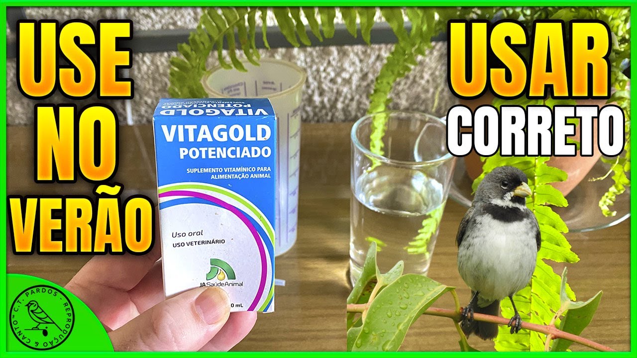 💊✅ COMO E QUANDO USAR VITAGOLD POTENCIADO (não dê no inverno)