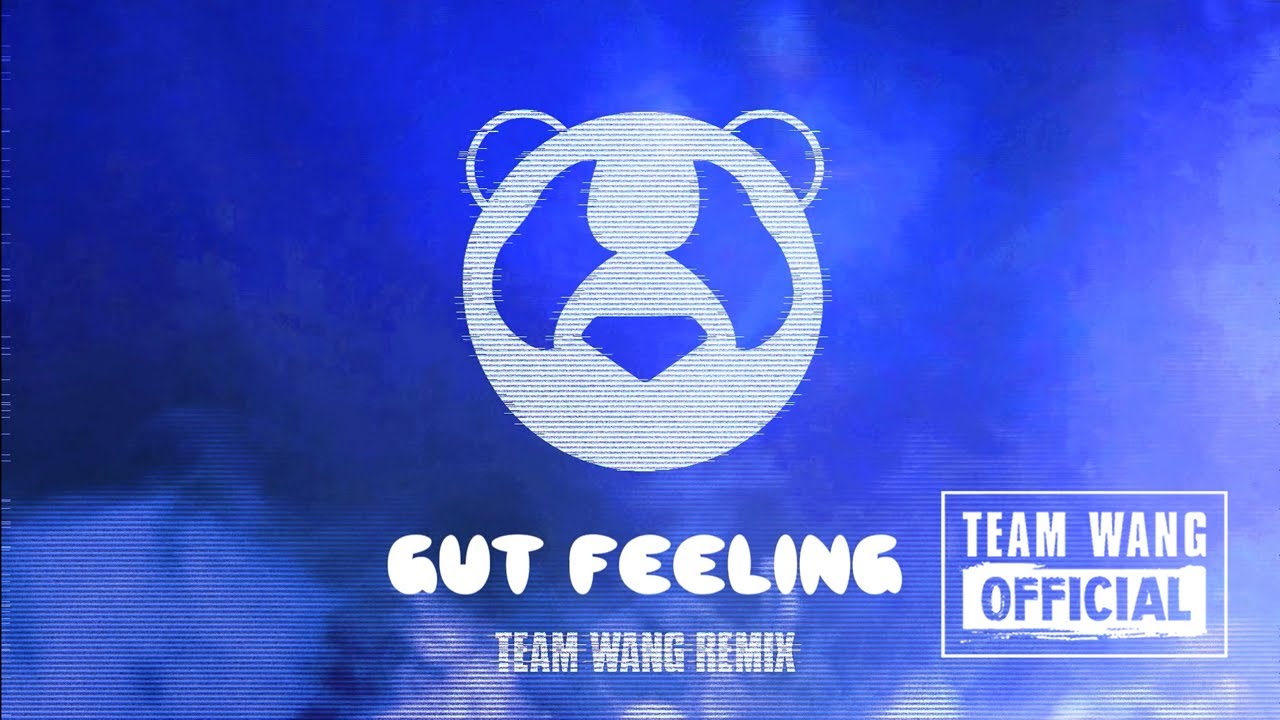 PANTHEPACK - Gut Feeling (TEAM WANG REMIX)