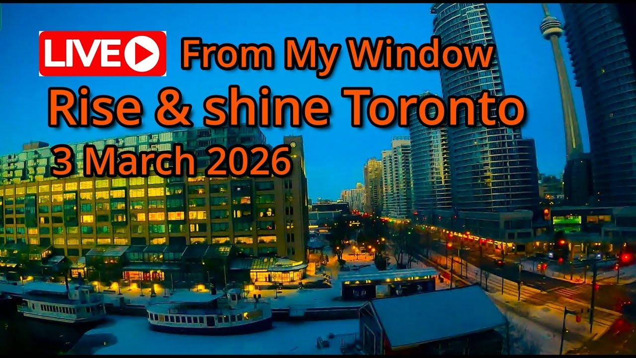 🔴Toronto Window Cam LIVE HD | MaoChow Adventure 3rd March 2026 Rise and Shine to Lunar Eclipse