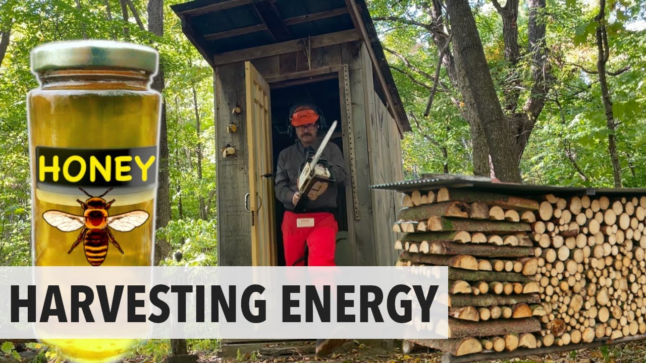 Harvesting Energy At The Off-Grid Cabin | Power Through The Seasons