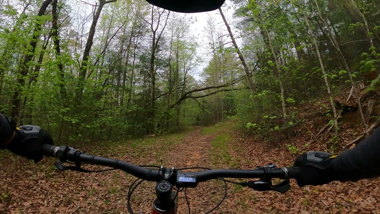 Marin Alpine Trail E1 @ Bull Mountain | Dahlonega, GA