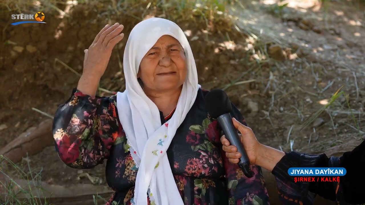 Jiyana Dayikan, Şirnex, Jin, dayik, Stêrk Tv