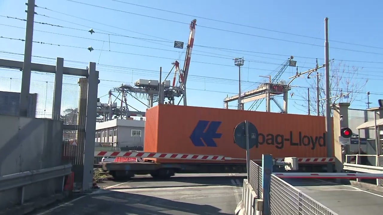 Porti della Spezia e Carrara, resoconto traffico container 30-05-2024