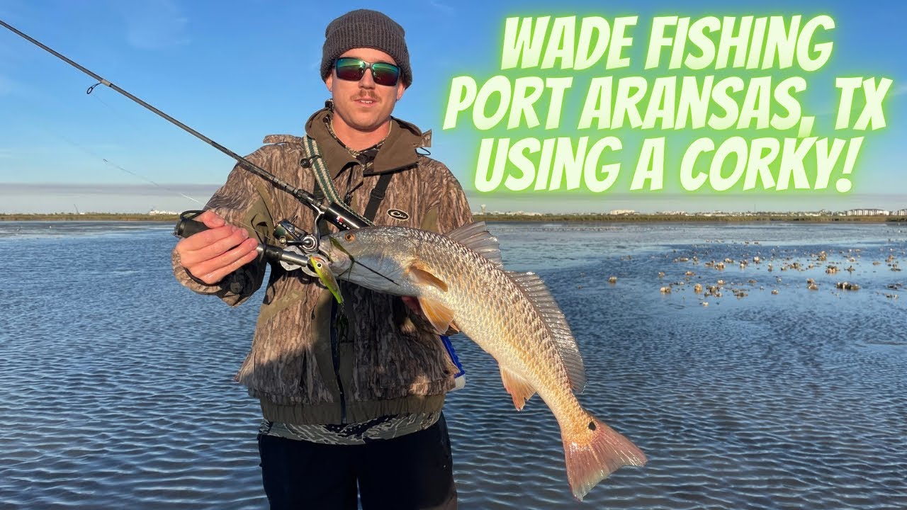 SKINNY Water Redfish After INSANE Flounder Gigging Encounter!