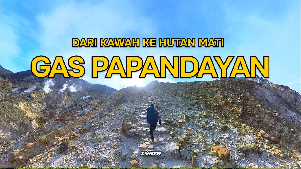 PAPANDAYAN | SUNRISE, EDELWEIS, DAN HUTAN MATI