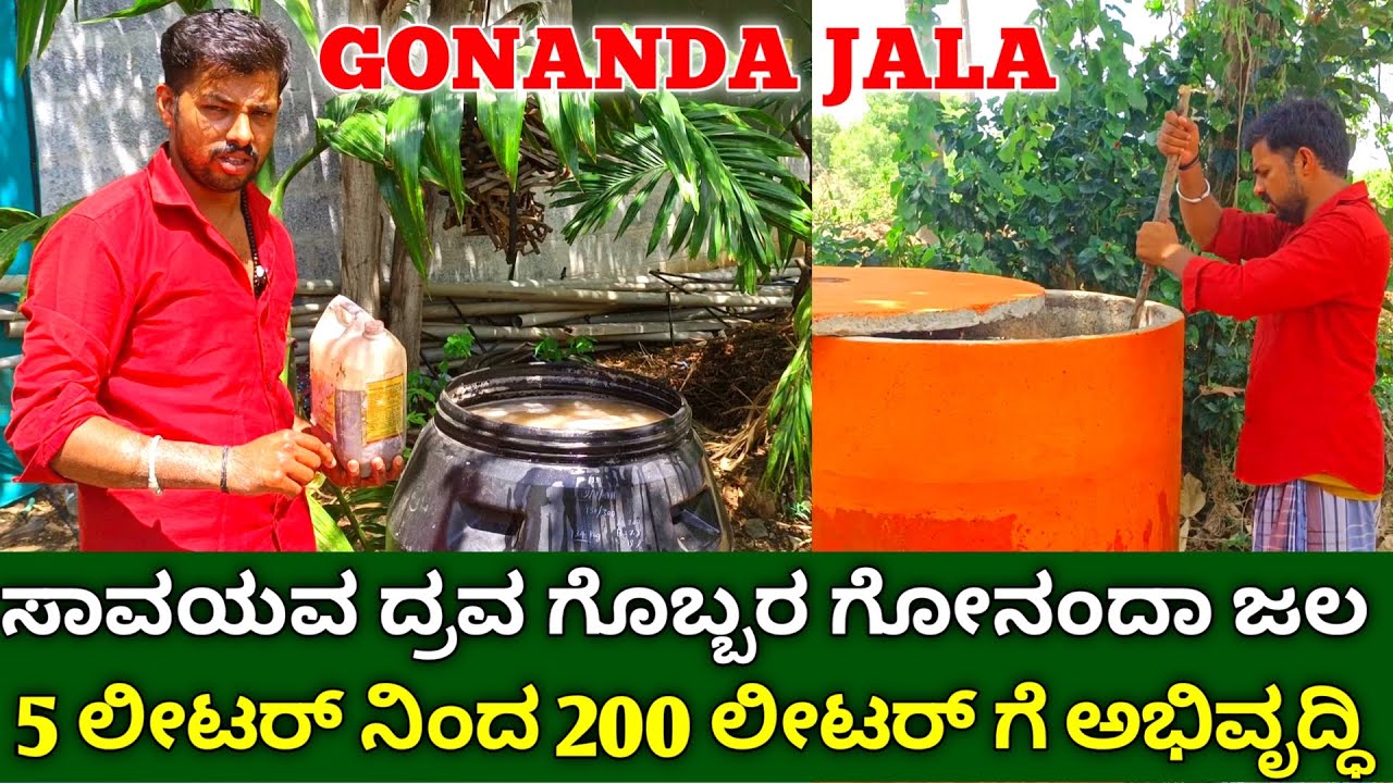 ಸಾವಯವ ದ್ರವರೂಪ ಗೊಬ್ಬರ ಗೋನಂದಾ ಜಲ | organic fertilizer gonanda jala | organic farming in kannada
