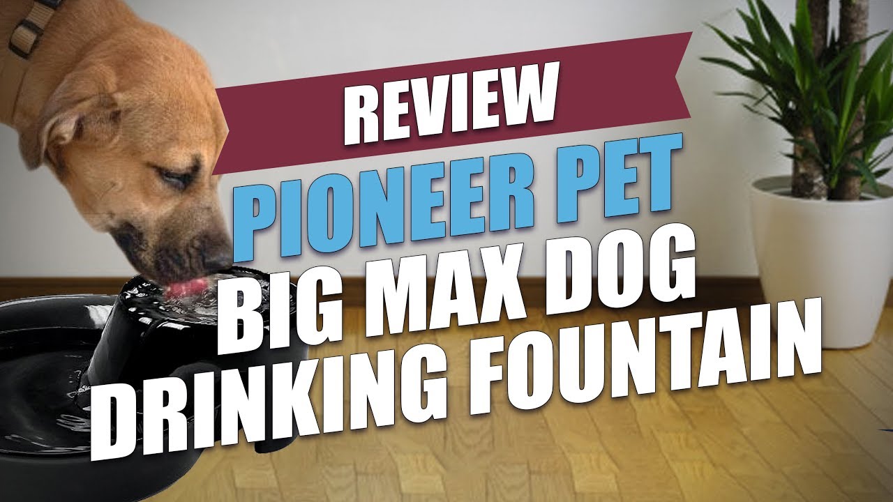 Pioneer Pet Big Max Dog Drinking Fountain Review