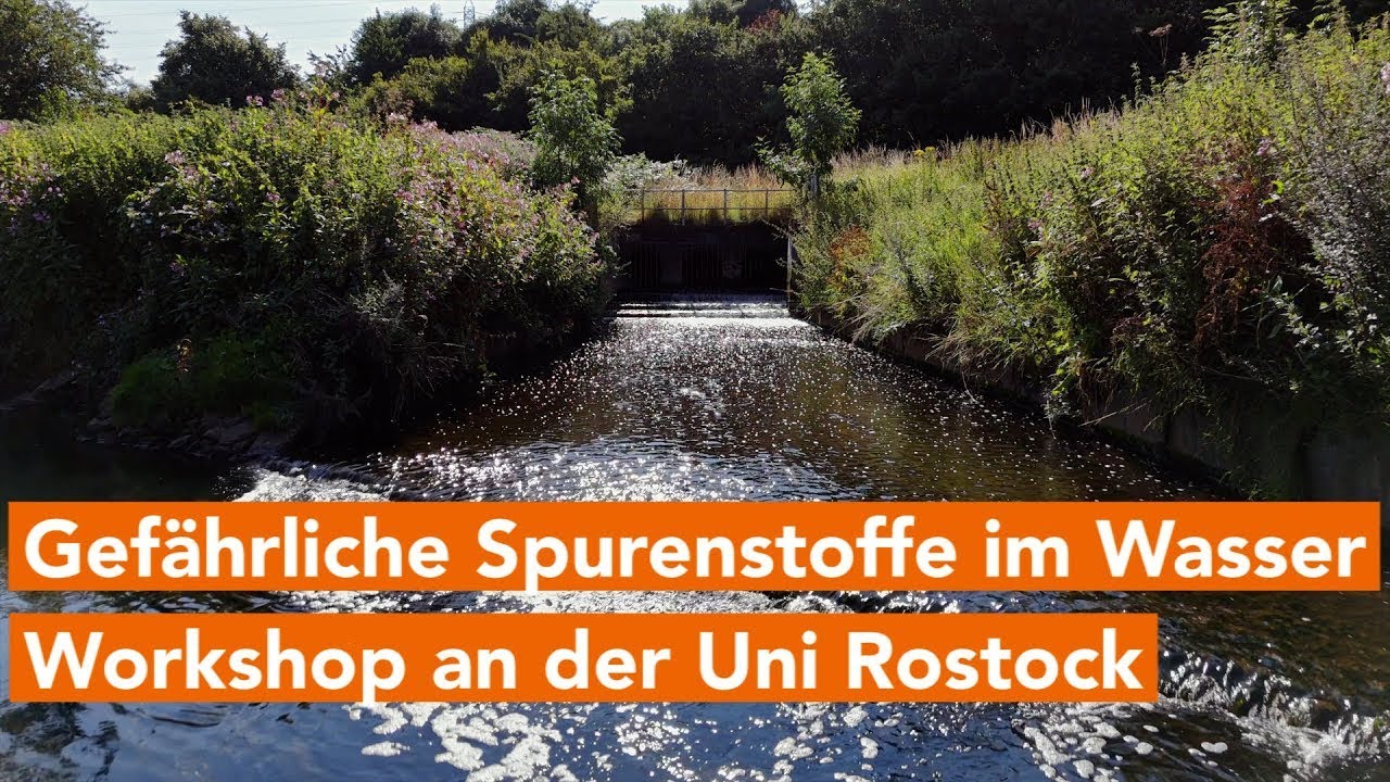 PFAS und Arzneimittel im Wasserkreislauf – Herausforderungen für die Wasserwirtschaft