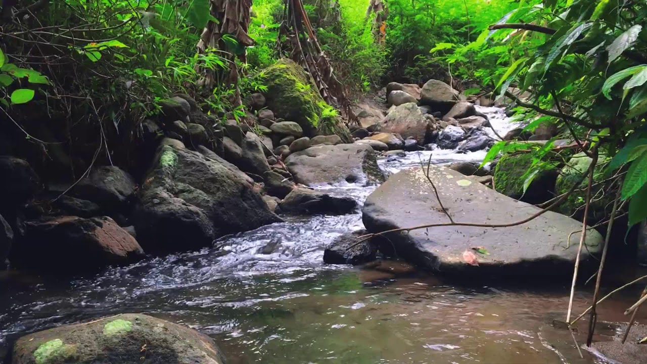Beat Stress to Sleep Fast with Powerful River Sounds & Relaxing Cascading Water Through Forest Path