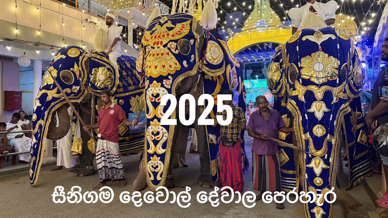 සීනිගම දෙවොල් දේවාල පෙරහැර -2025. දෙවනි පේලිය