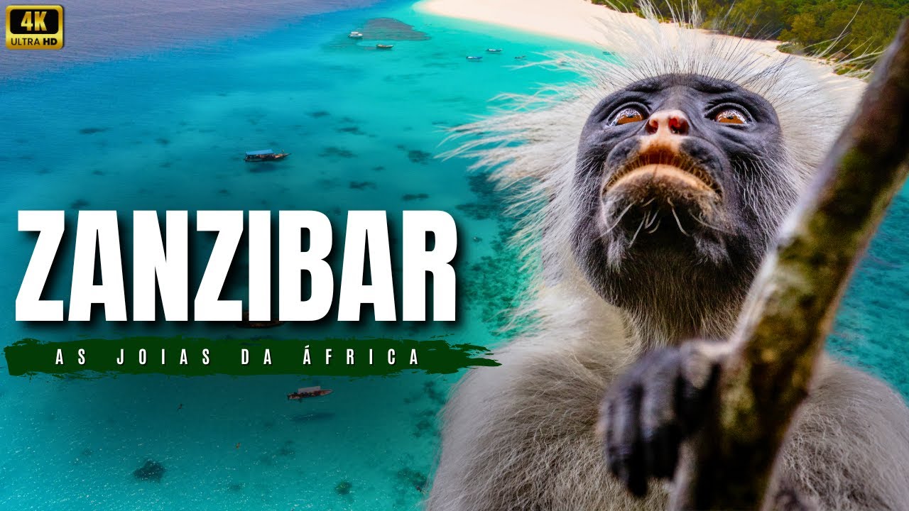 Zanzibar Selvagem | Descubra o Tempero das Ilhas Africanas! Documentário 4K