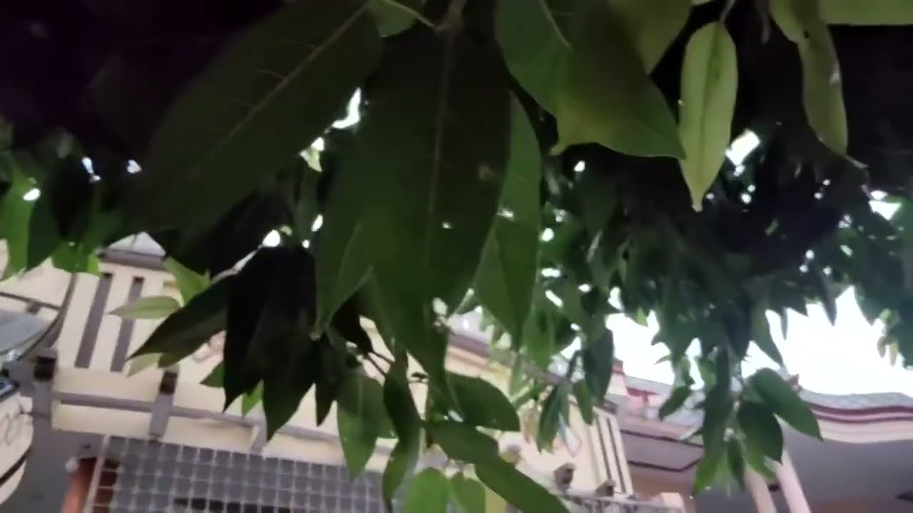 Lodhran city in motion cinematic video