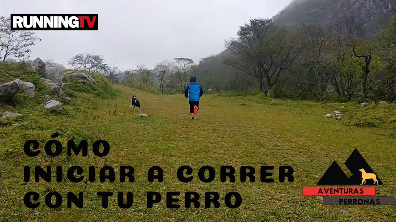 Recomendaciones básicas para iniciar a correr con tu perro, programa para Running Tv