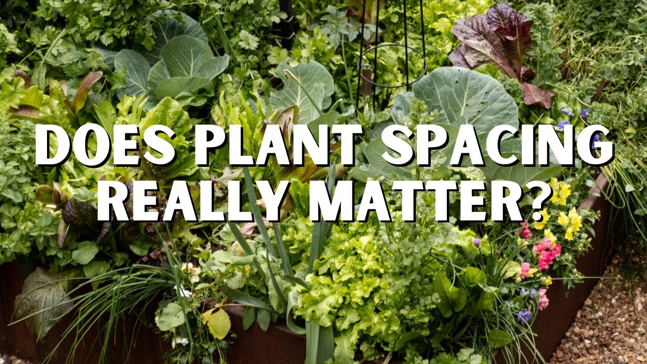 Learn My Plant Spacing Calculator Method