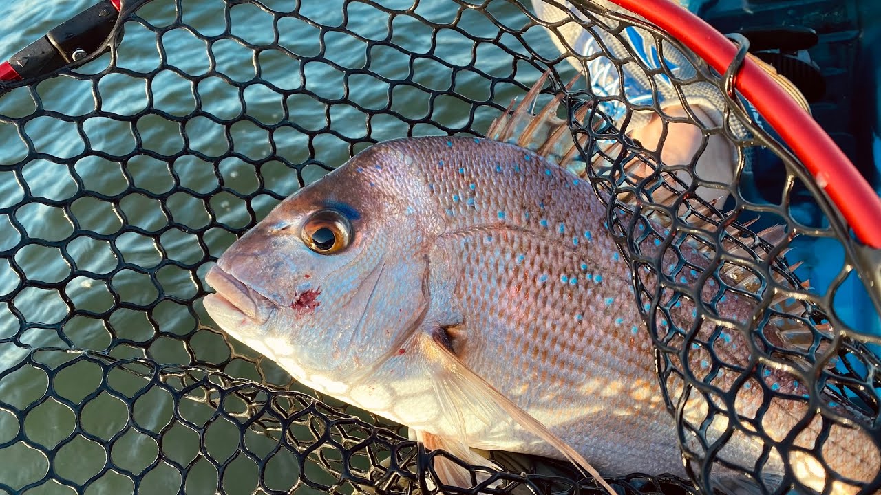 Kayak Fishing - Redcliffe