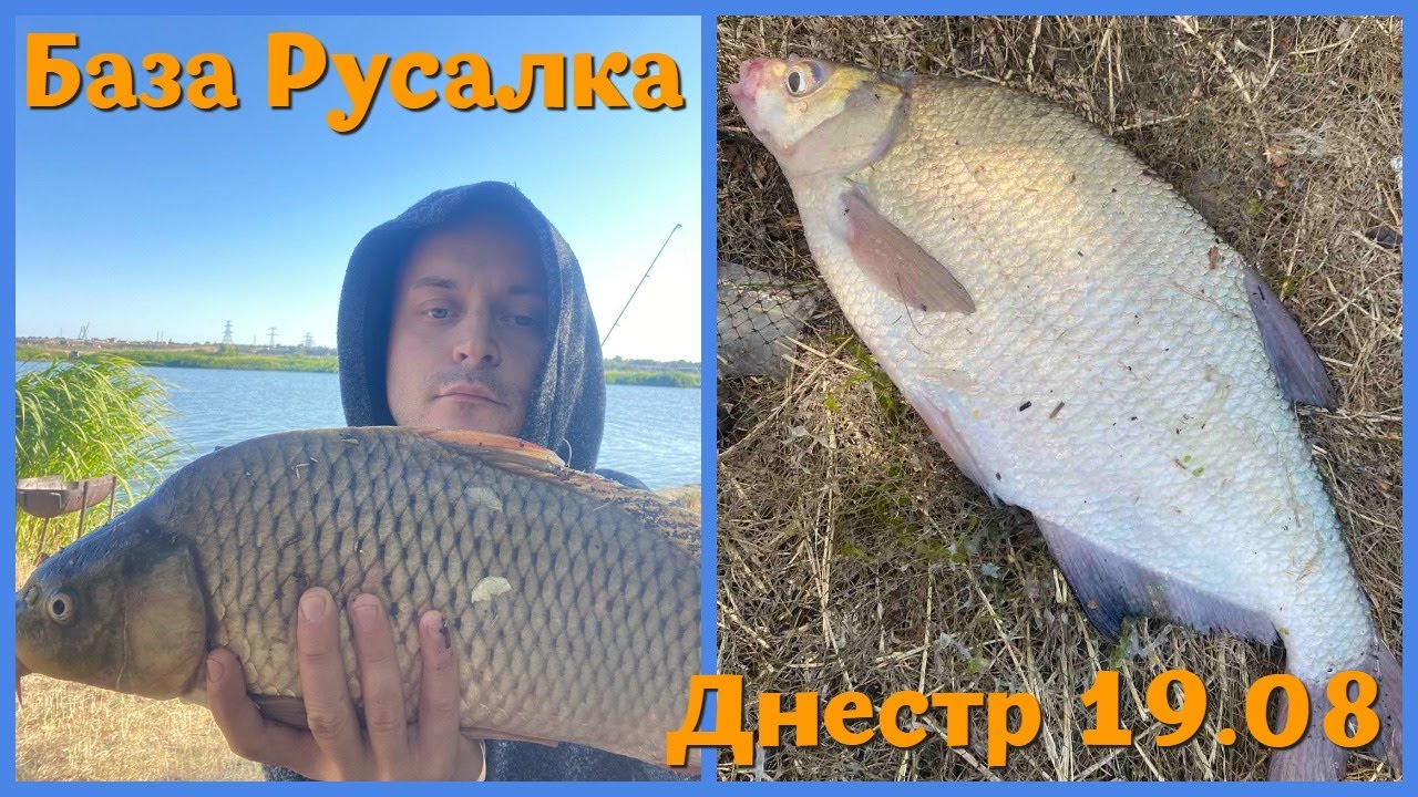 Рыбалка на реке Днестр в августе. База Русалка, Маяки. Рыбалка на макушатники и отдых на природе