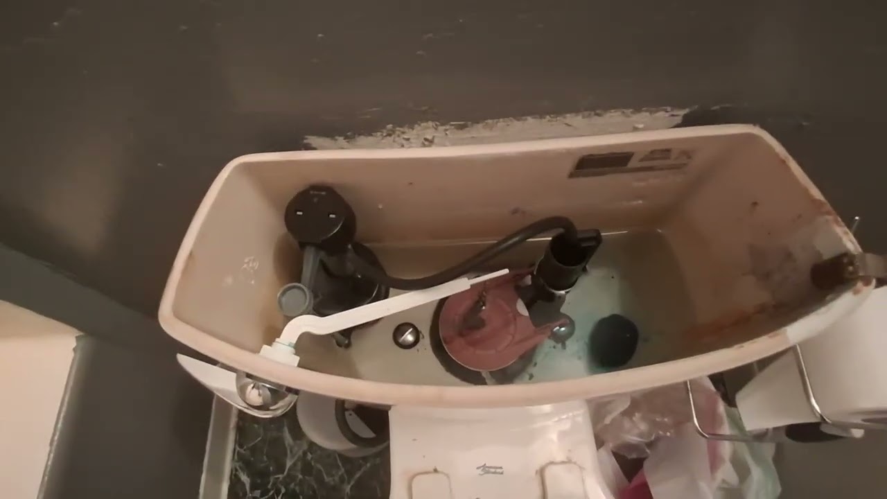 #ad Trying out automatic toilet bowl cleaner tablets