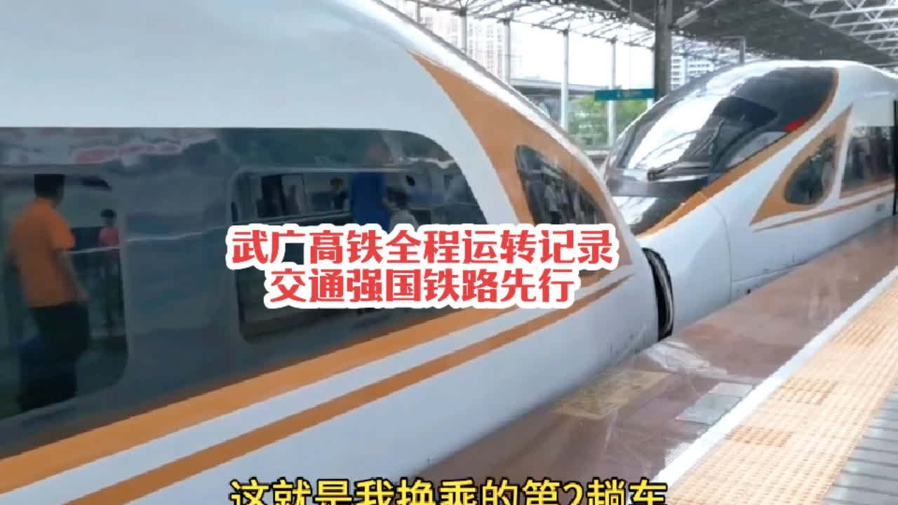 #火车迷爱好者 实拍京广高铁武广段全程运转记录，交通强国，铁路先行#铁路摄影 #高铁🚅 #沿途随拍 #记录行程