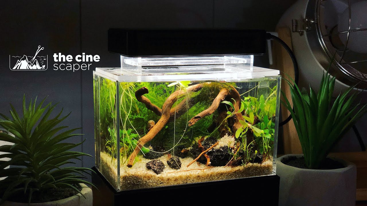 How to do a Mini Complete Tank - Aquascaping tutorial
