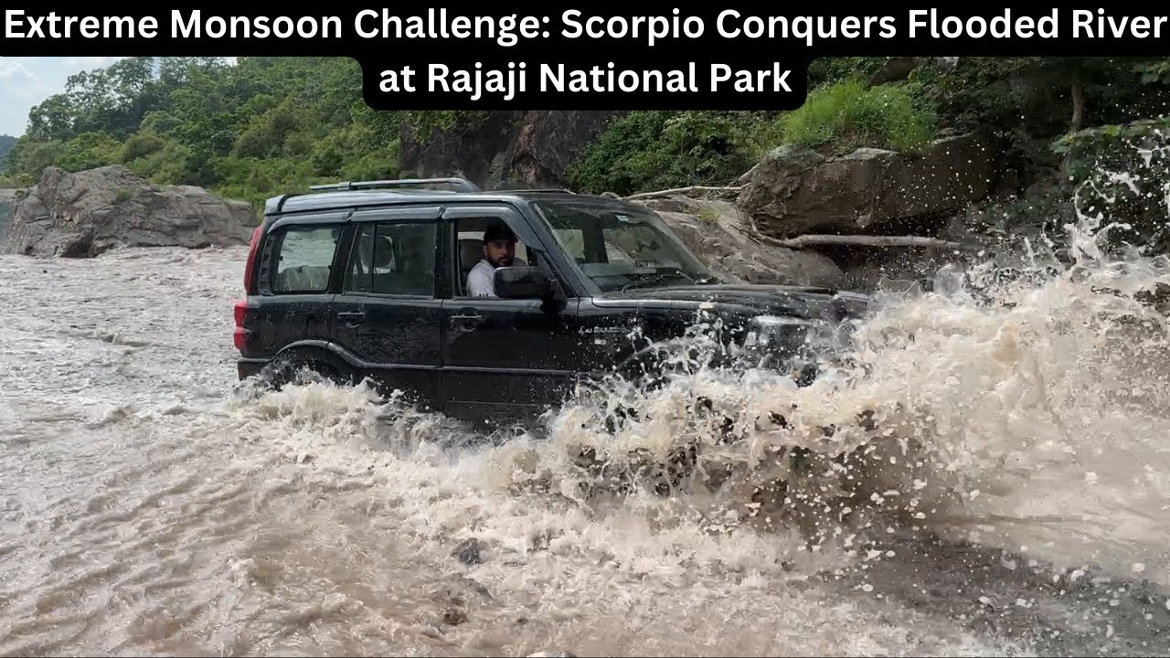 Extreme Monsoon Challenge: Scorpio Conquers Flooded River at Rajaji National Park #scorpio #flood