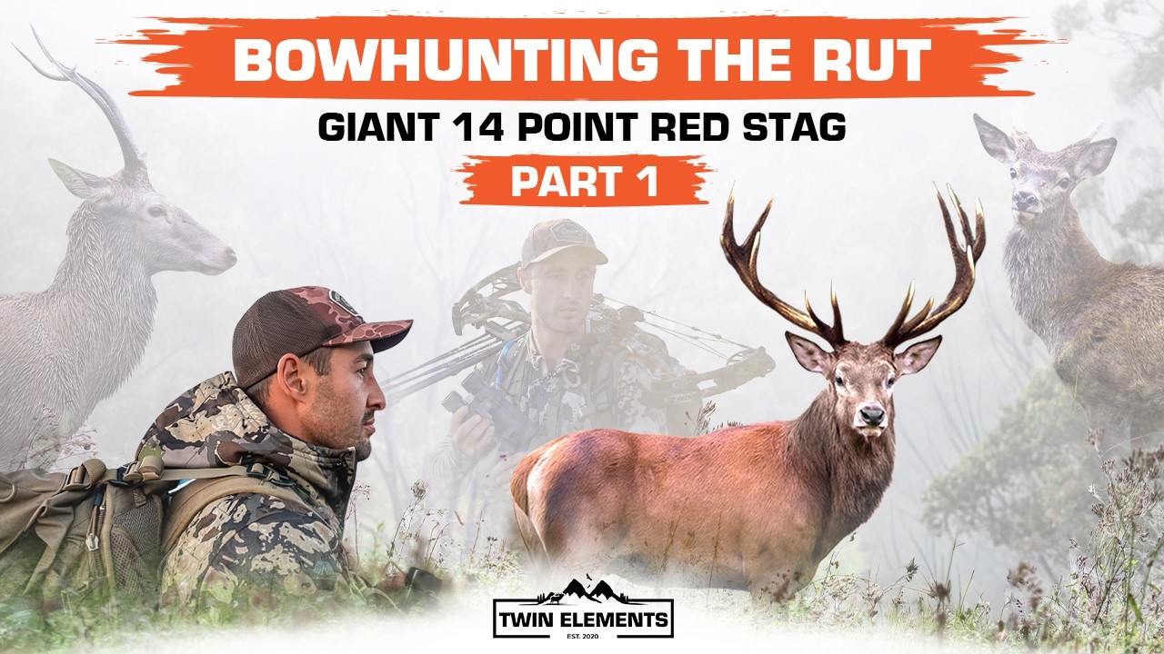 Bowhunting Roaring Red Stags In NSW, Australia! We Find A Giant 14 POINT Stag - TWIN ELEMENTS