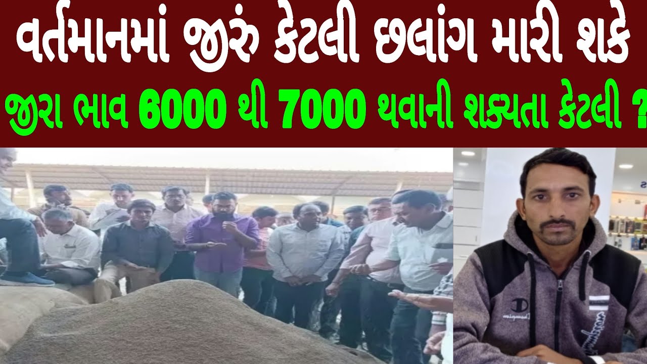 જીરા નો ભાવ 7000, 8,000 ક્યારે, જીરું નો ભાવ ક્યારે ચડશે,jira price today,jira bhave,jiru બજરે,જીરું