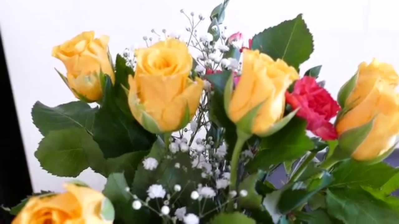 Geek Vlog 250 - Panasonic FZ1000 4K Video Sample 