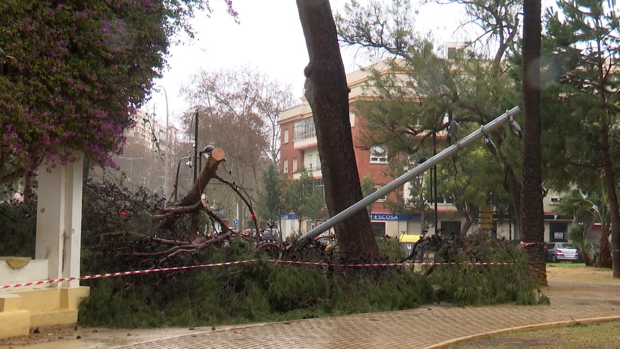La borrasca Kristin deja numerosas incidencias en Cartagena