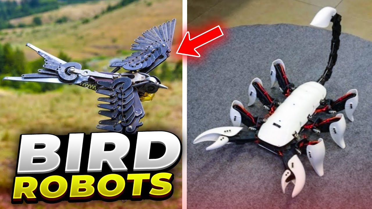 Top 10 bird robots that will blow your mind!
